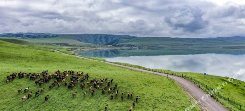 骠骑将军大营丹马四海酒店图片