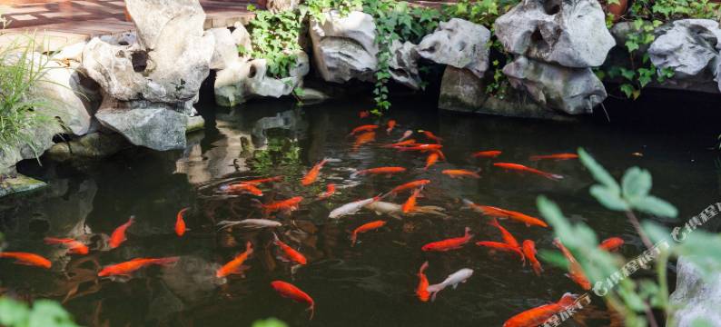 周庄沐澜精致客栈图片