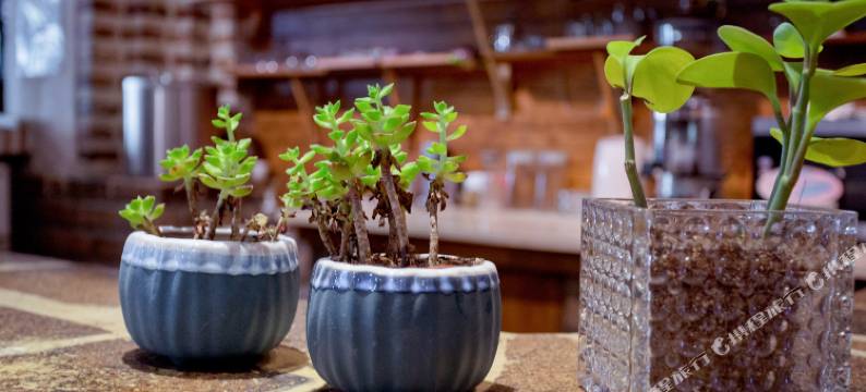 长安客庭院酒店(西安土门西电医院店)图片