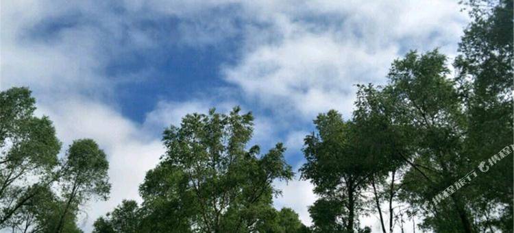 祁连老龙树人家民宿(卓尔山风景区南游客中心店)图片