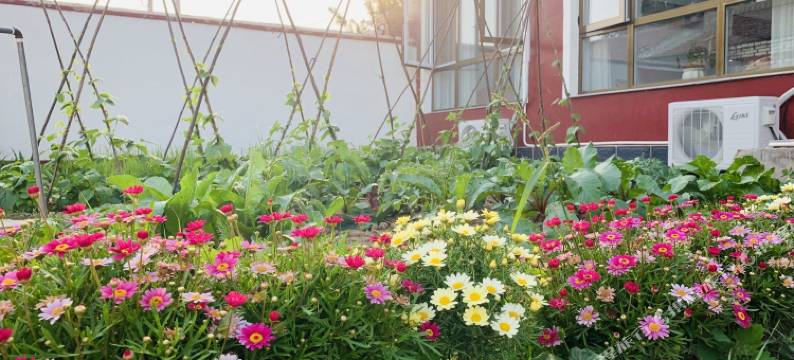 北京园中苑民宿图片