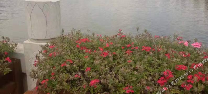 昆明雲沐民宿图片