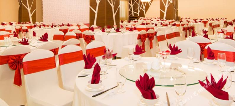 岘港莫荣安豪华酒店(Muong Thanh Luxury Da Nang Hotel)图片