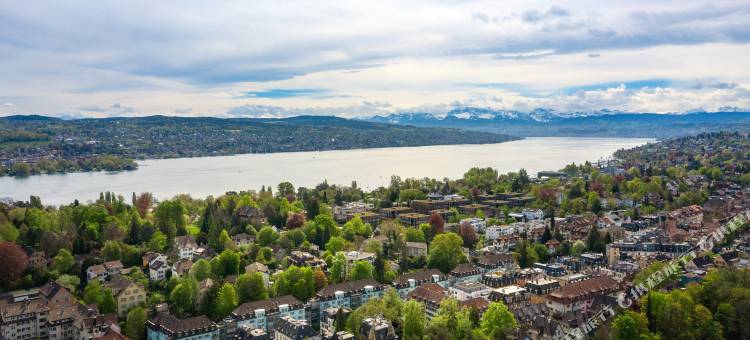 苏黎世Home酒店 - 设计酒店集团旗下成员(The Home Hotel Zürich - a Member of Design Hotels)图片