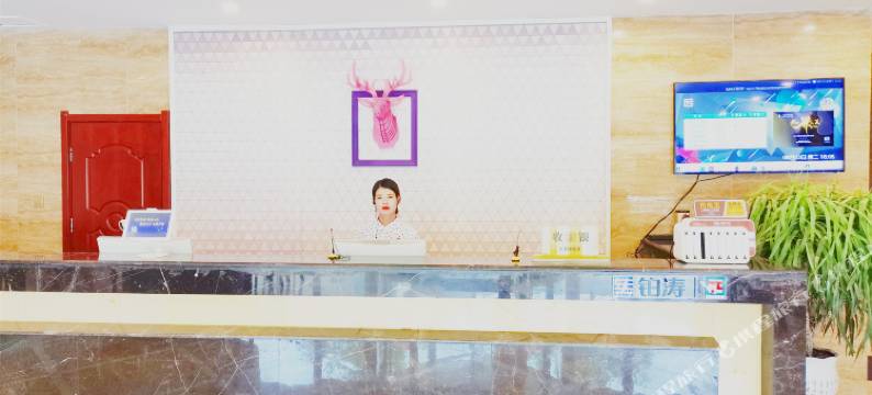 兰州之星酒店(岷县汽车站当归药材城店)图片