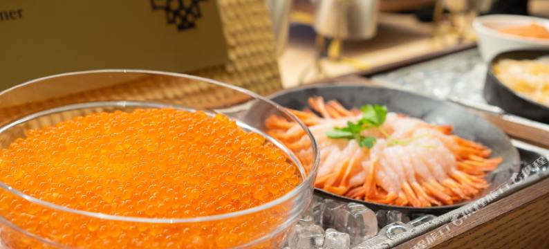 船舶花园薄野酒店(Vessel Hotel Campana Susukino)图片