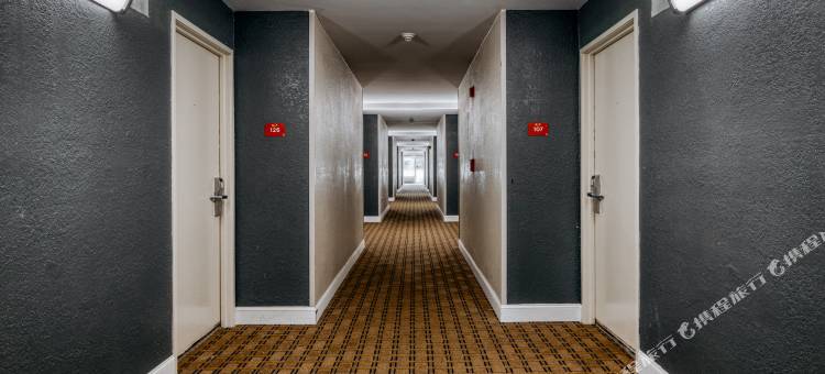 哥伦比亚/杰克逊堡温德姆温盖特酒店(Wingate by Wyndham Columbia/Fort Jackson)图片