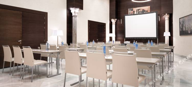 维多利亚NH系列酒店(NH Collection Granada Victoria)图片