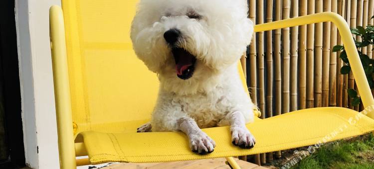 花筑·慢慢来/山景庭院美学/亲子娱乐度假民宿(泰山风景区店)图片