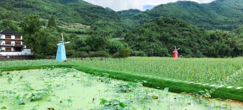 桐庐芸菁溪墅别墅图片