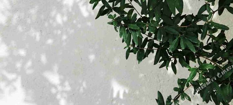 湄洲岛湄屿宿集·时光民宿(莲池澳沙滩店)图片