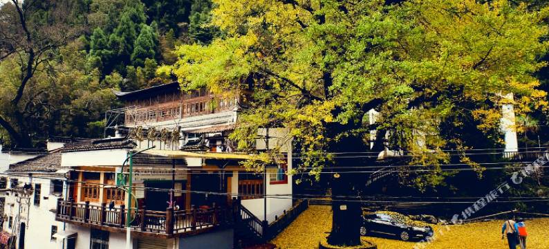 婺源石城通源精品民宿图片