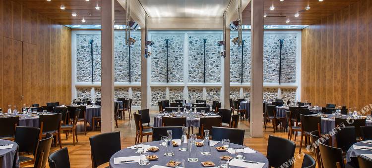 威德酒店(Widder Hotel - Zurichs Luxury Hideaway)图片