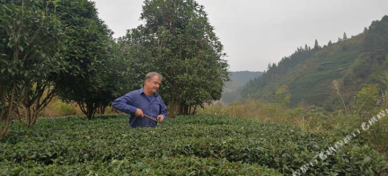 三江南夷民宿(程阳八寨程阳风雨桥店)图片