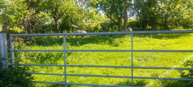 布拉姆顿达尔斯农场民宿(Brampton Dales Farm)图片