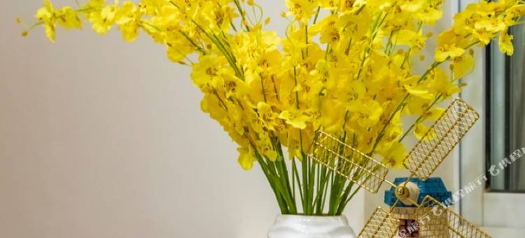 成都春熙路的民宿(19号店)图片