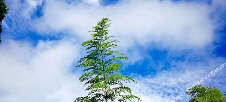 安吉静爽农家乐图片