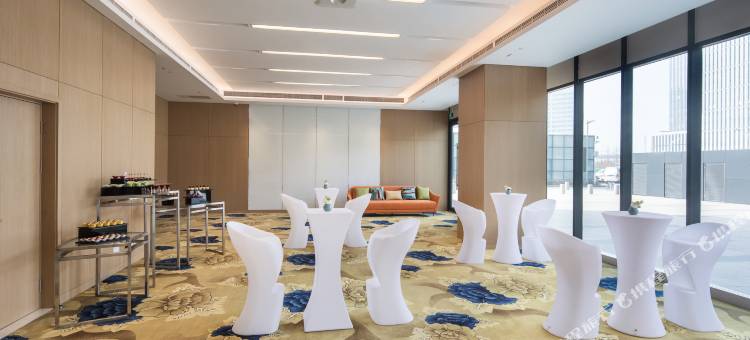 天津中北假日酒店(西青大悦汇店)图片