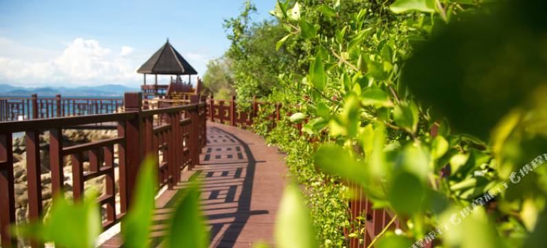 三亚蜈支洲岛珊瑚酒店木屋图片