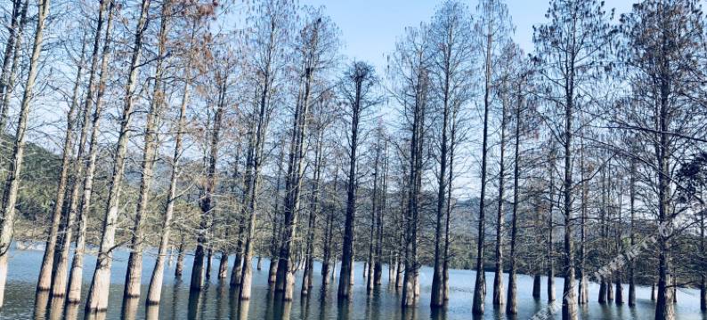 宏村德厚楼精品客栈图片