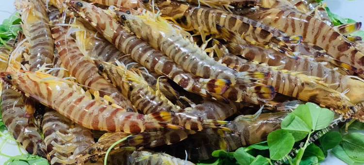 乳山党校宾馆图片