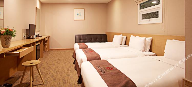 天空花园酒店明洞3号店(Hotel Skypark Myeongdong 3)图片