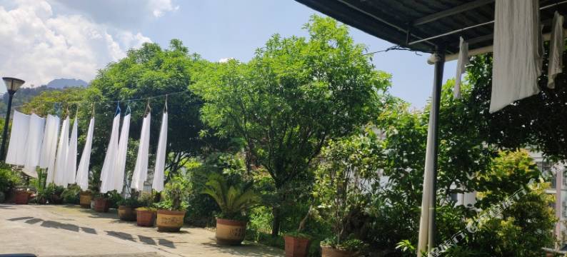 重庆银杉宾馆图片