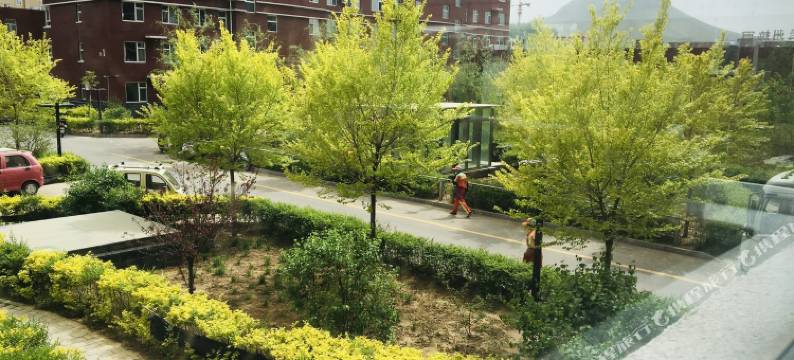 承德丰宁阳光民宿公寓(宁丰路分店)图片