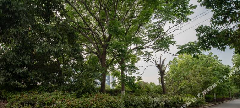 达沃思酒店(绵阳安州界牌店)图片