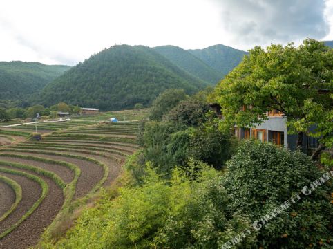 维西松赞塔城酒店