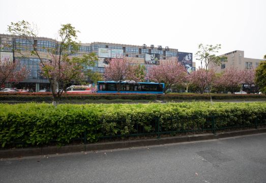 Hotel Overview