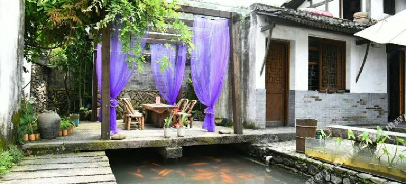 永嘉楠园民宿图片