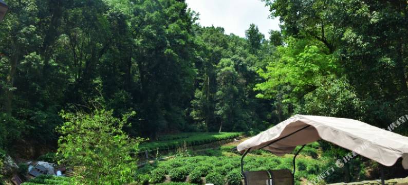 花筑·杭州龙井花庐民宿图片
