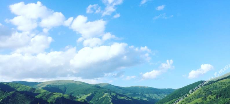 Del五台山子鼠丑牛青年旅舍图片