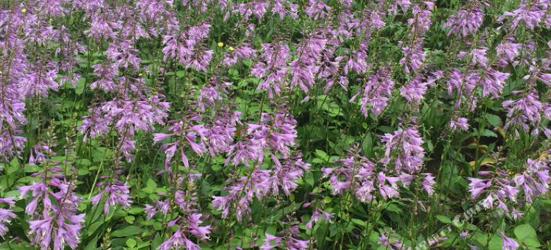 丹东海水温泉圣地公寓图片