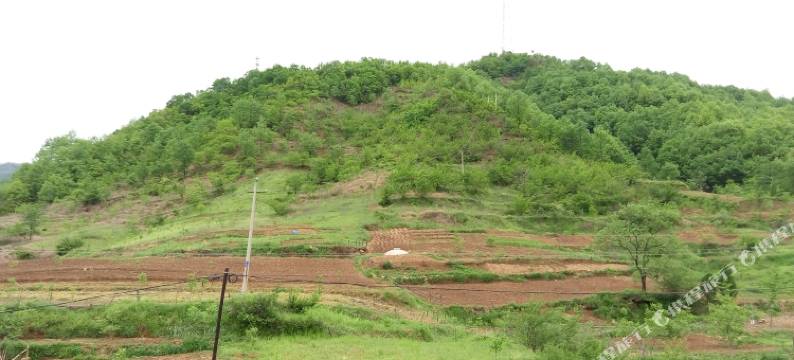 嵩县幸福宾馆图片