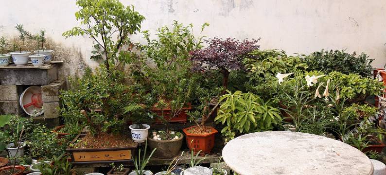 歙县绿缘农家乐图片