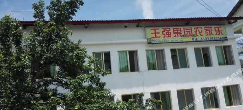 桐梓王强果园农家乐图片