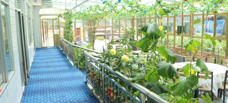 祁连聚客来驿站图片