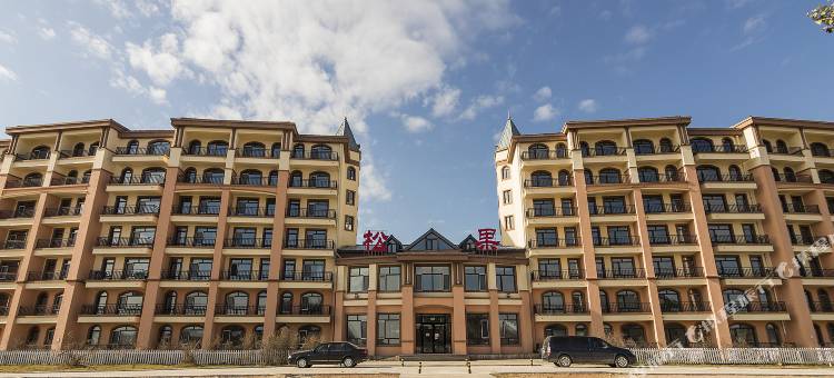汤旺河松果酒店式公寓图片