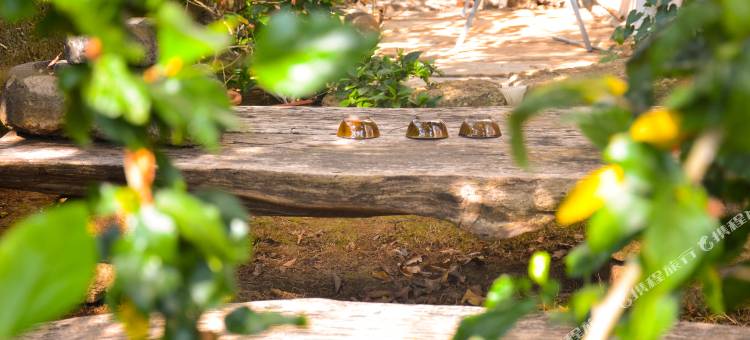 涠洲岛辣汉头小院图片