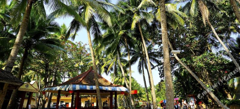 海南百莱玛民宿(文昌东郊椰林店)图片