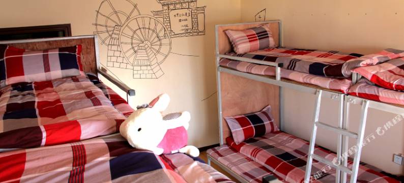 昆明流浪猫念夏火车站店图片