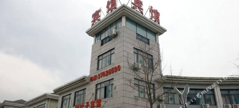 上海树叶子宾馆图片