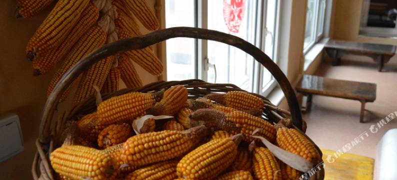 雾凇岛嘎拉哈青年旅舍图片