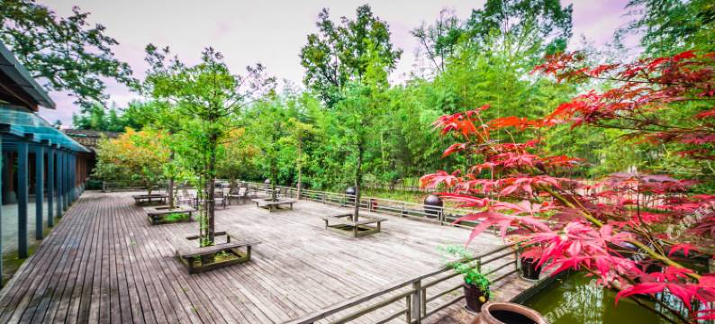 武夷山九龙湾易家庭院客栈图片