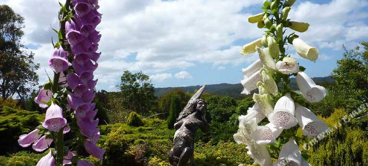 大洋路住宿飞镖酒店(The Boomerangs at Johanna on the Great Ocean Road)图片