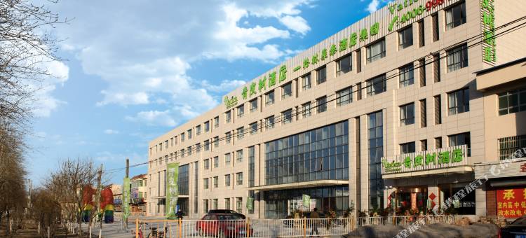 青皮树酒店(天津崔黄口镇店)图片