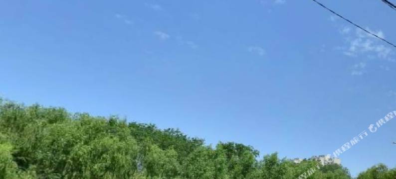 沈阳顺佳酒店图片