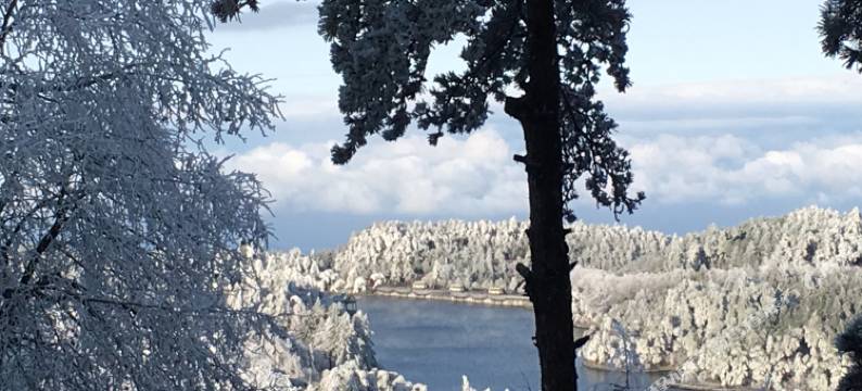 庐山洞天别墅图片